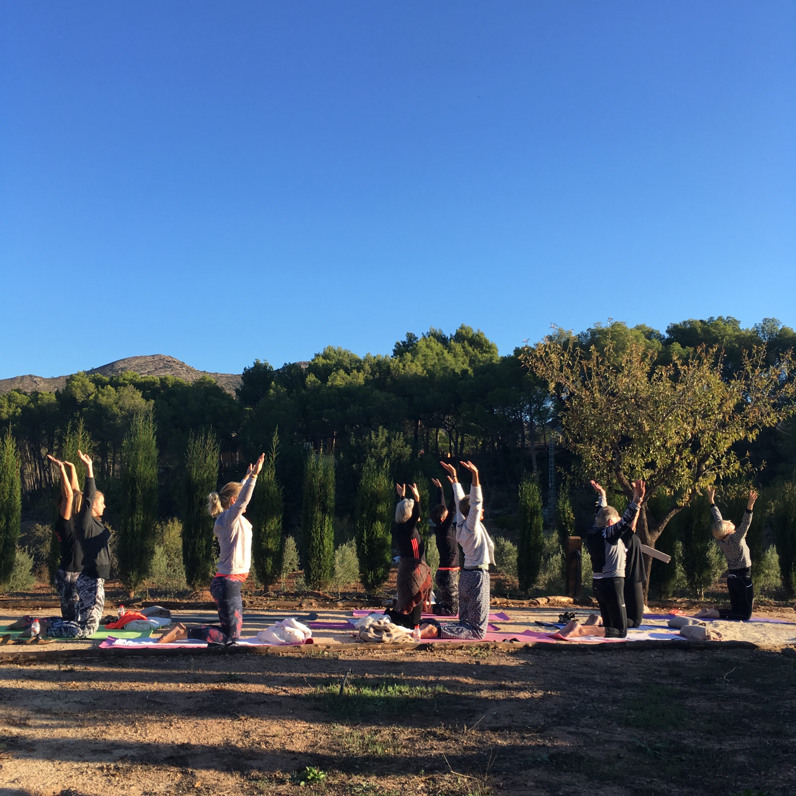 Yoga retreat group practising at sunrise among the almond orchards at Cuatre Finques