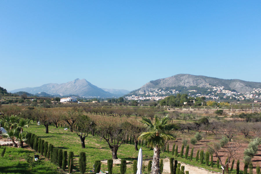 View from the Pansa room at Cuatre Finques