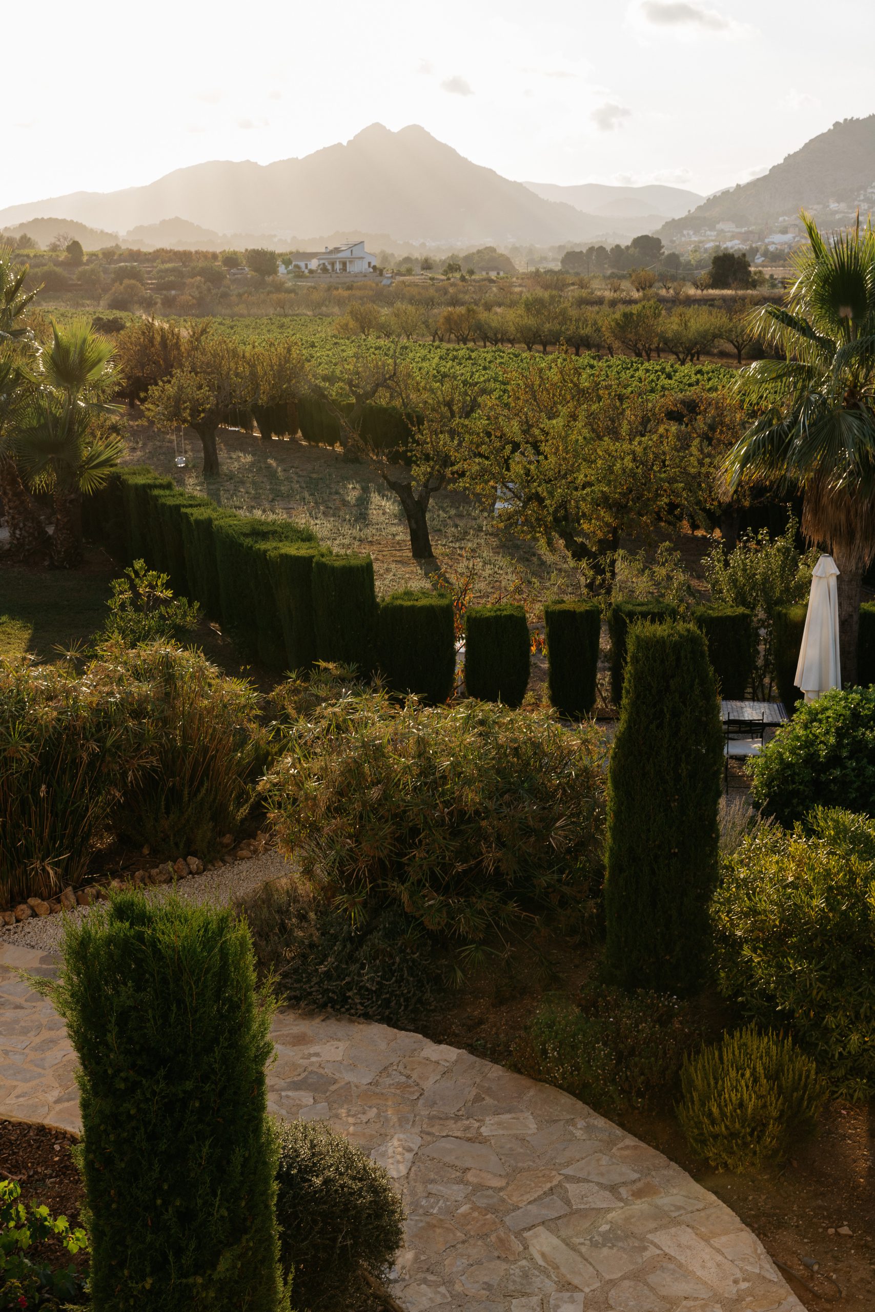 Golden hour view over the Xaló Valley vineyards and mountains